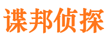 禅城调查公司